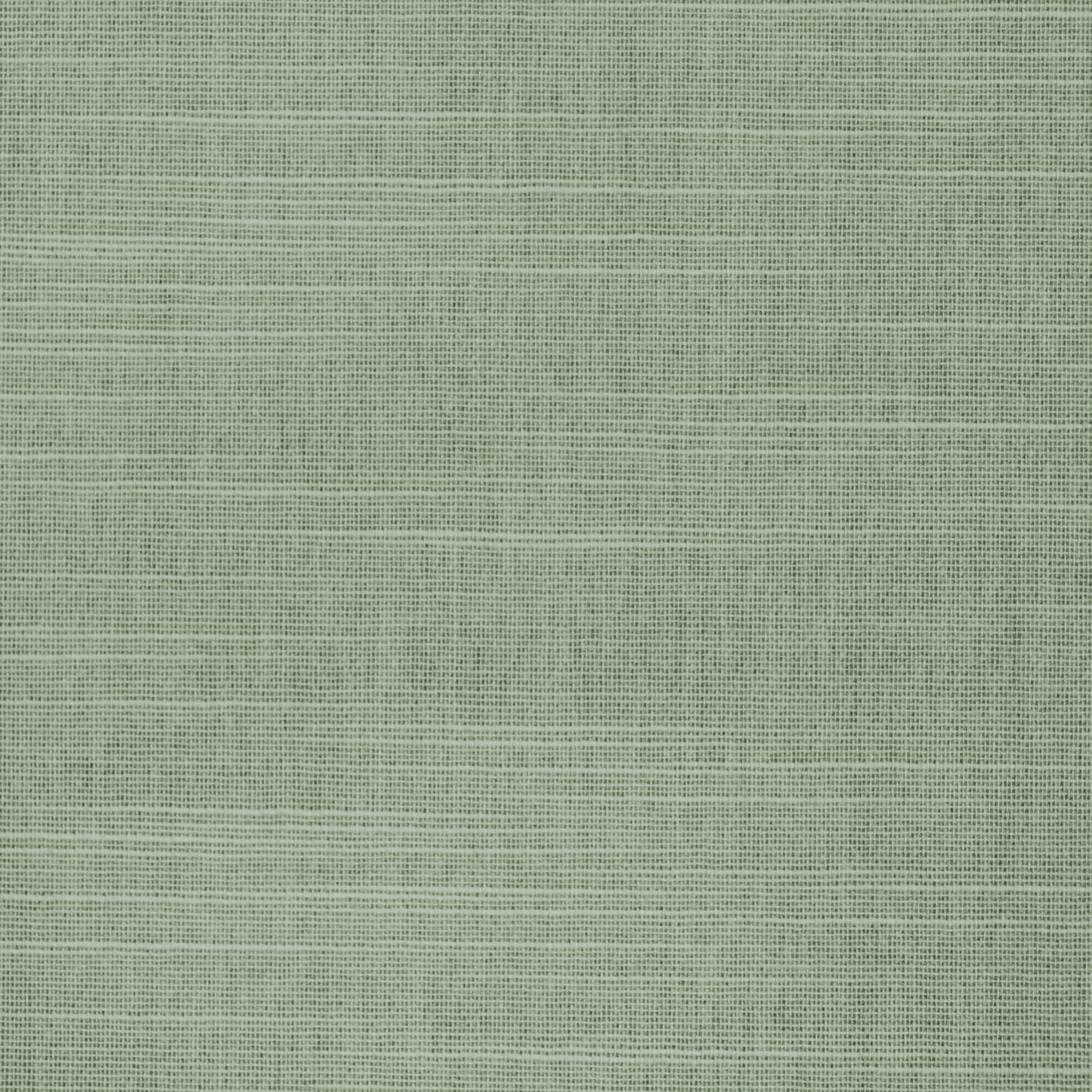 Hayworth Fern 89mm Louvre